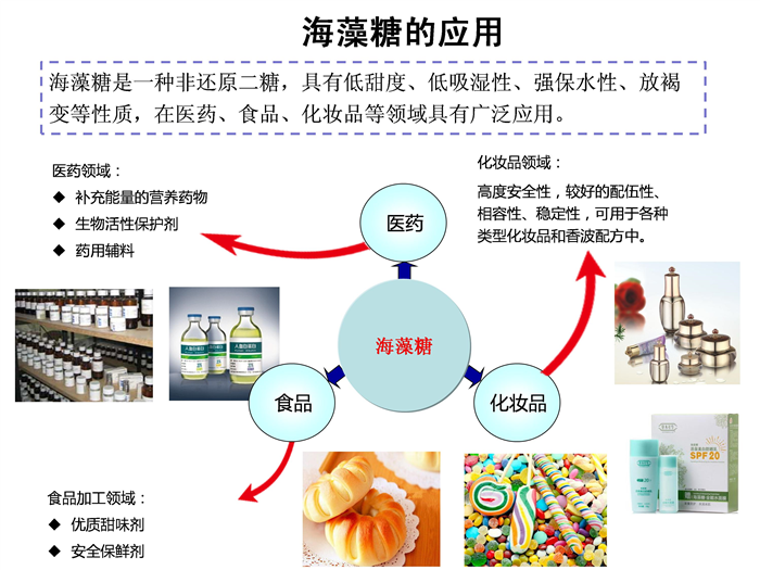 海藻糖生产技术